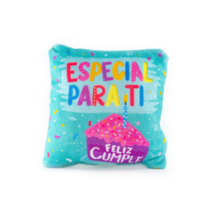 Cojín Especial Para Ti