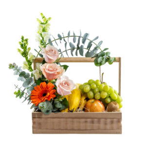 Caja Picnic